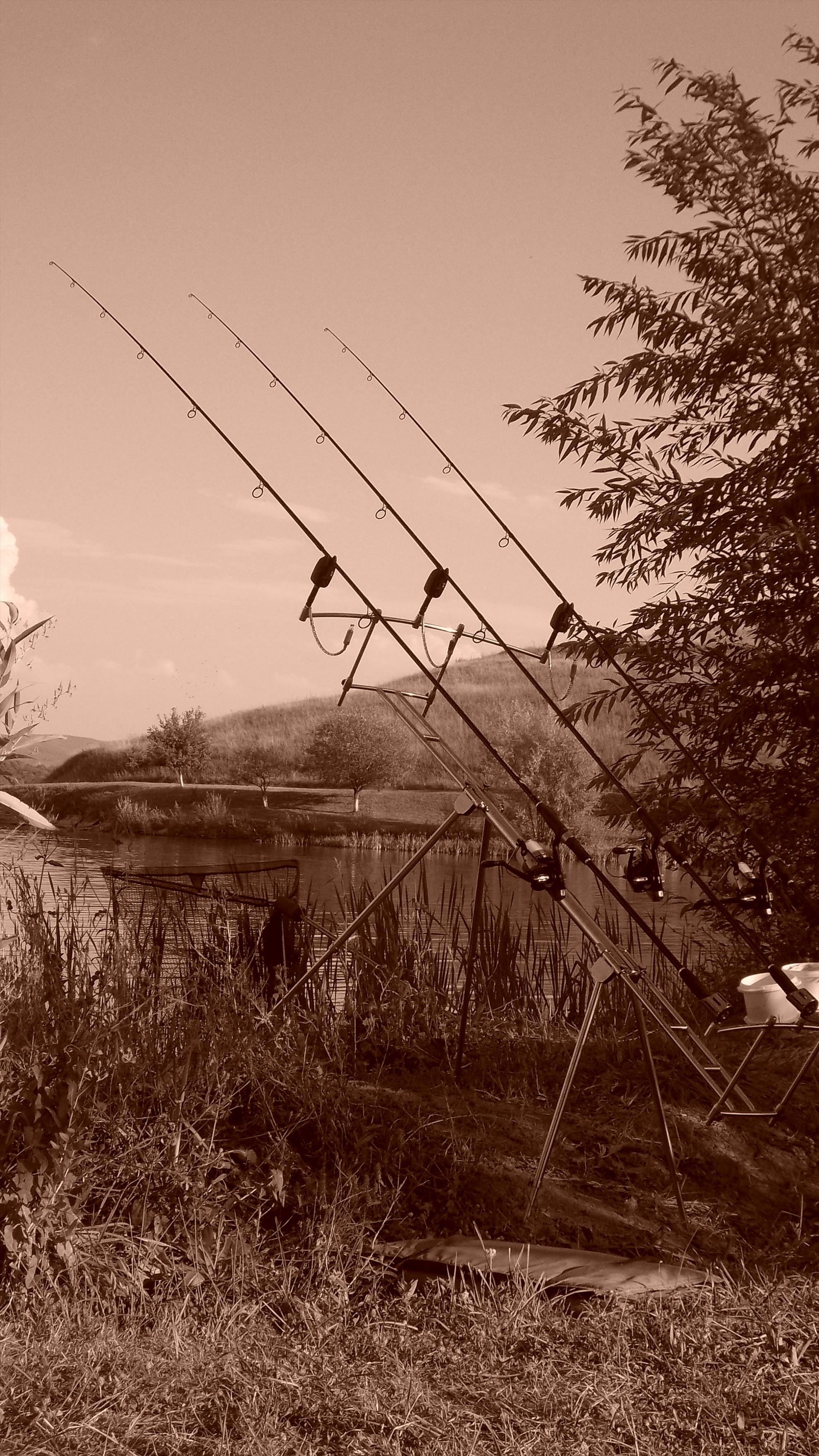 Catch and relase. - dscn1939.JPG